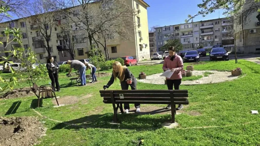 Снимка към „Район „Северен“ в Пловдив иска повече екипи за опасните дървета“