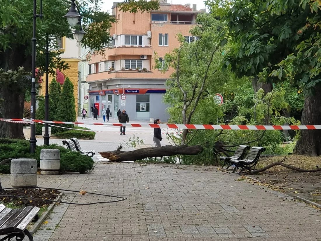 Снимка към „Мъж е с политравма, след като клон падна върху него в Сливен“