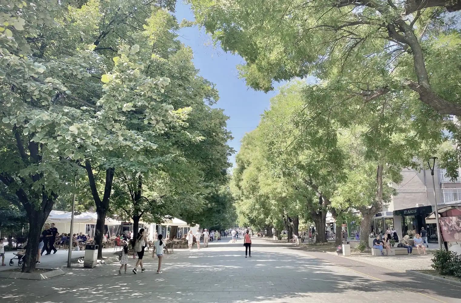 Снимка към „Птичи грип край Стара Загора води до забрана на пазарите за птици в страната“
